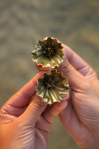 Primrose