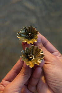Primrose