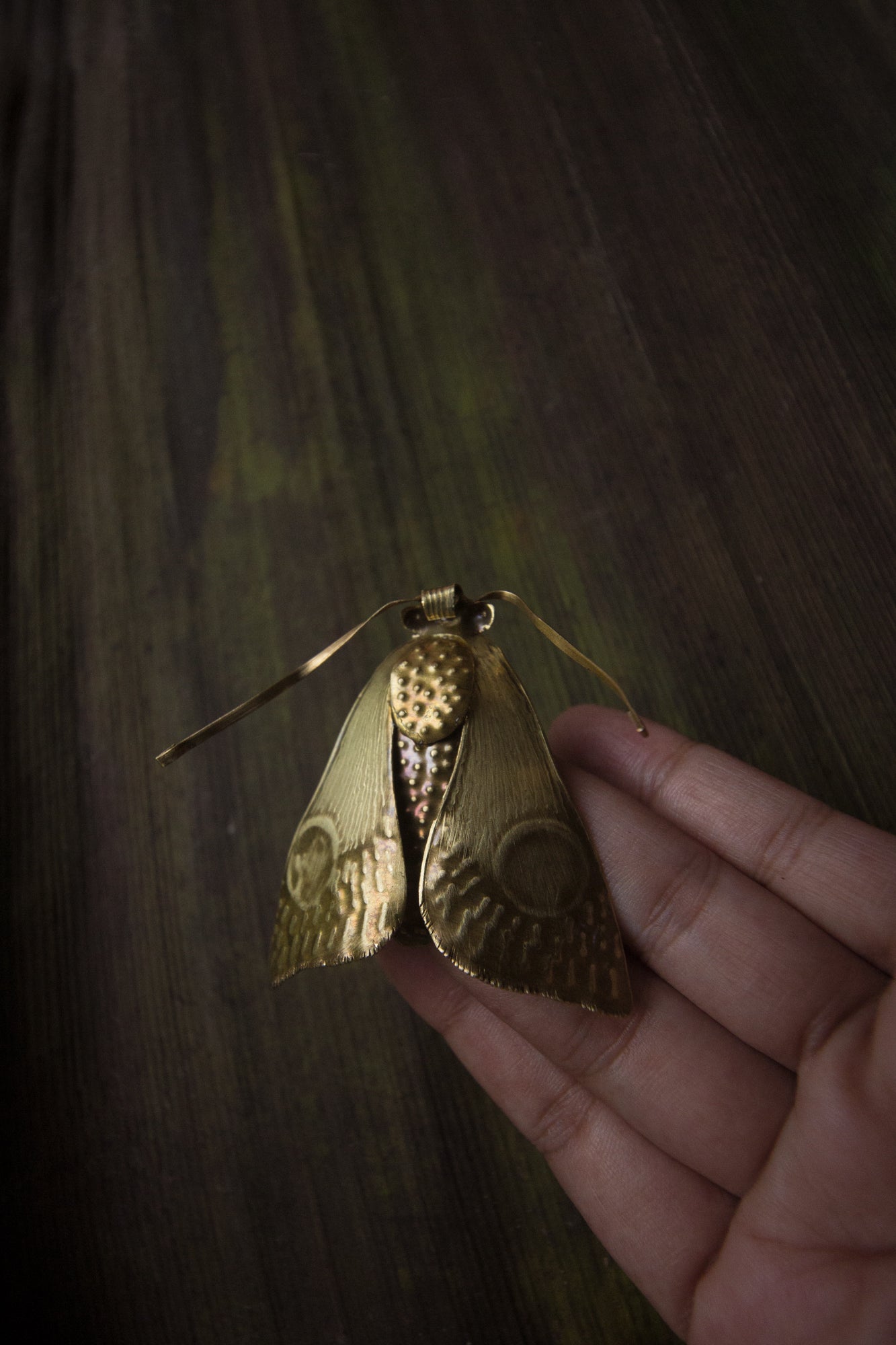 Orbifer ~ Moth pin cum necklace