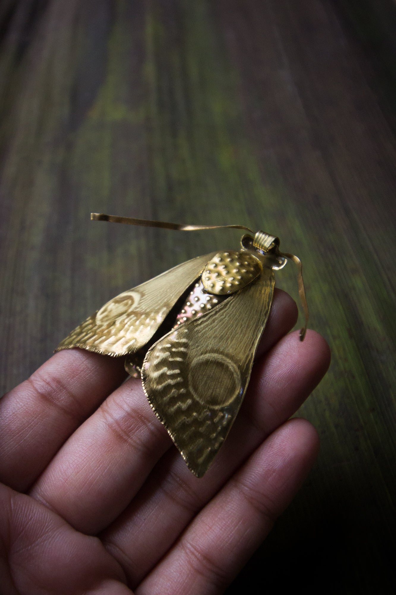 Orbifer ~ Moth pin cum necklace