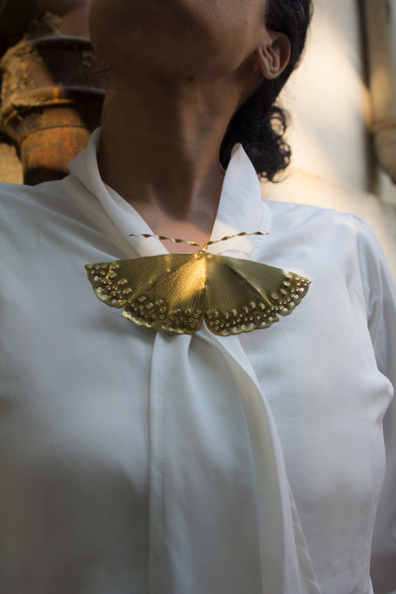 Golden Birdwing -  Brooch cum Necklace