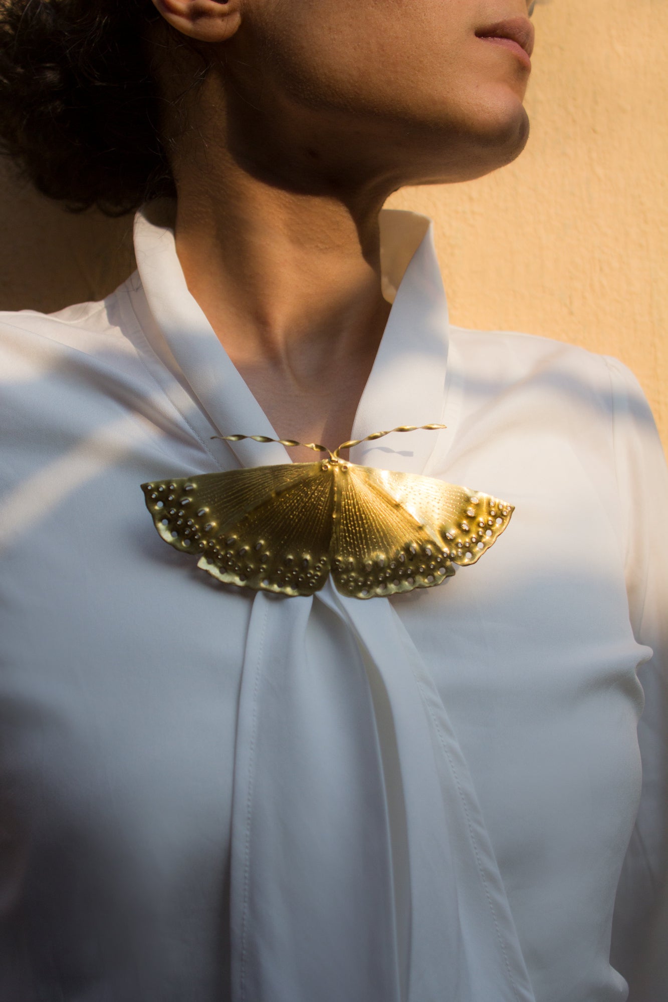 Golden Birdwing -  Brooch cum Necklace