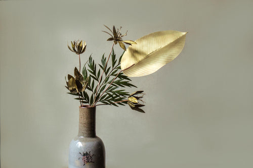 Rubber Bush Leaves - set of 2