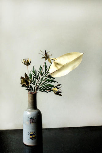 Rubber Bush Leaves - set of 2
