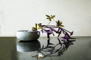 CHANDANI